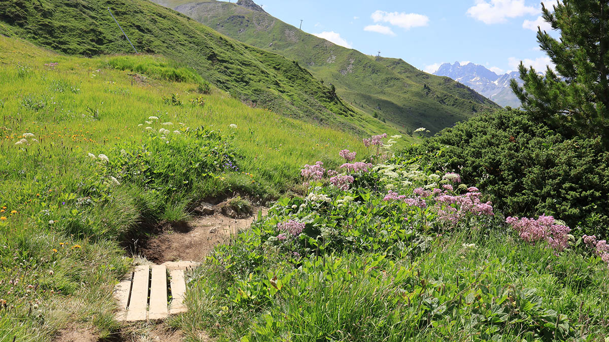 Op weg naar Paznauner Taja, Holiday 2020, Austria